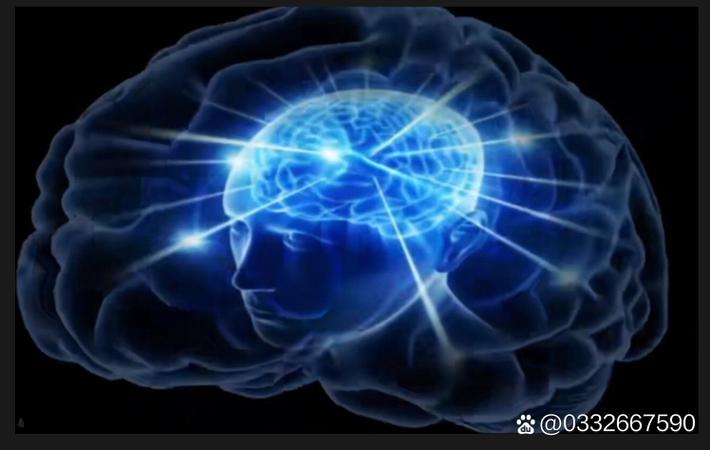 网传某知名女星与经纪人闹翻，疑似因资源分配不均，双方各执一词互不相让